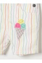 regenboog-streep-ijs-overall