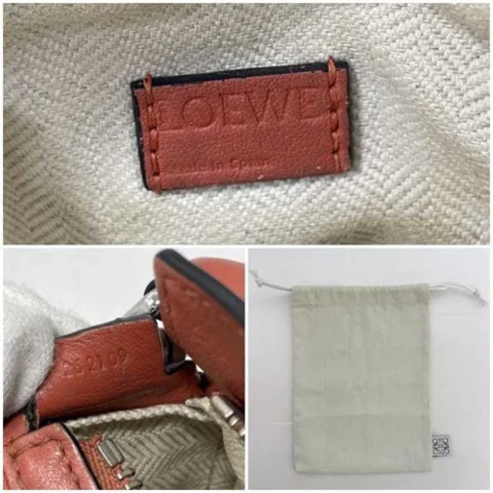 Loewe Pre-owned Fabric shoulder-bags Brown Dames