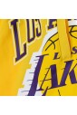 courtside-fleece-shorts-anniversary-edition