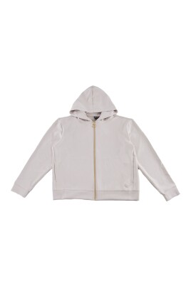 modern-hooded-zip-sweatshirt
