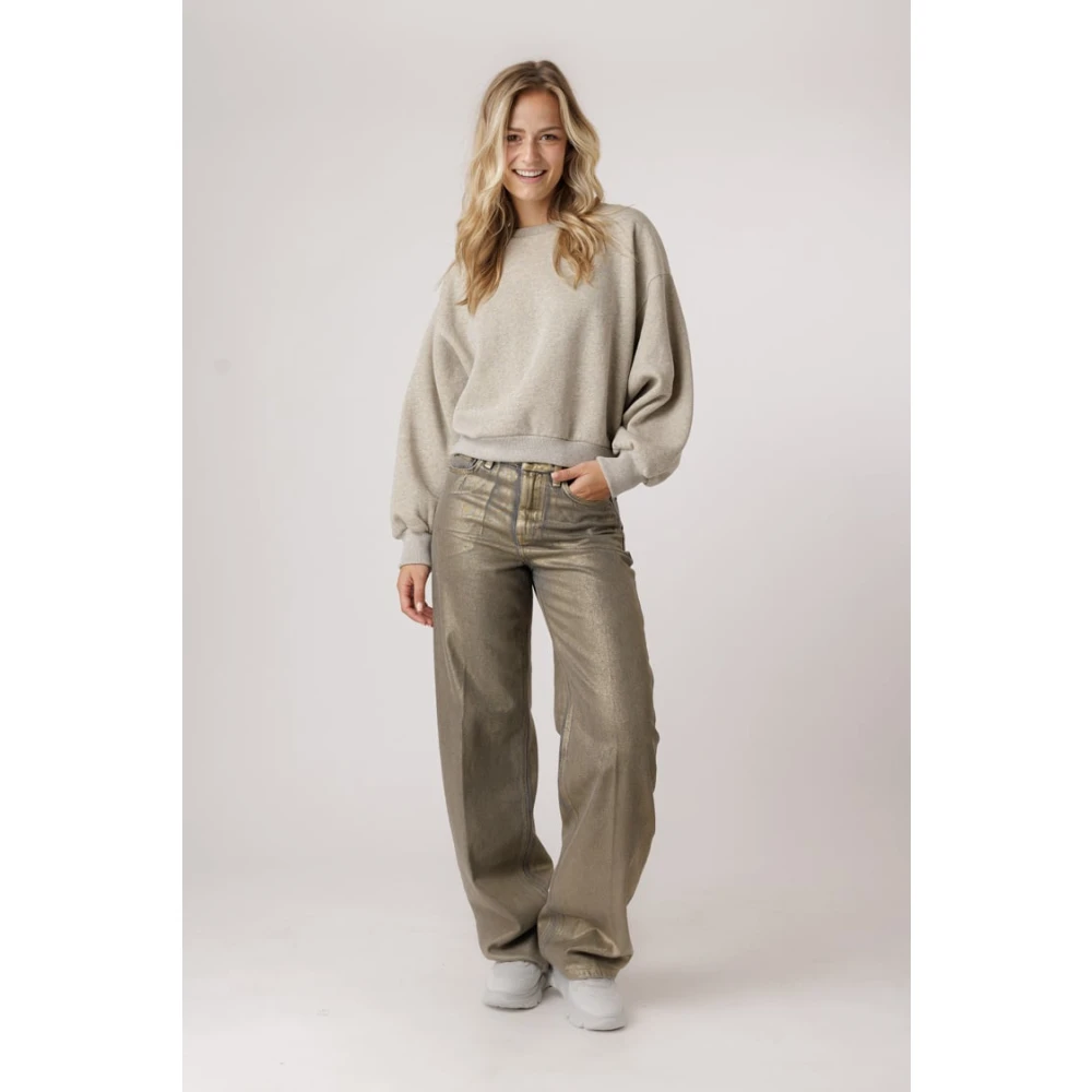 drykorn Metallic Rond Model Jeans met Persvouwen Gray Dames