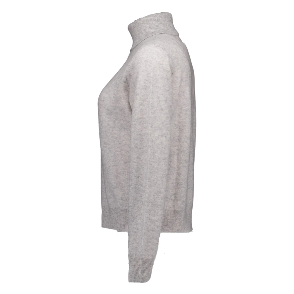 Absolut Cashmere Grijze Themys Truien Gray Dames