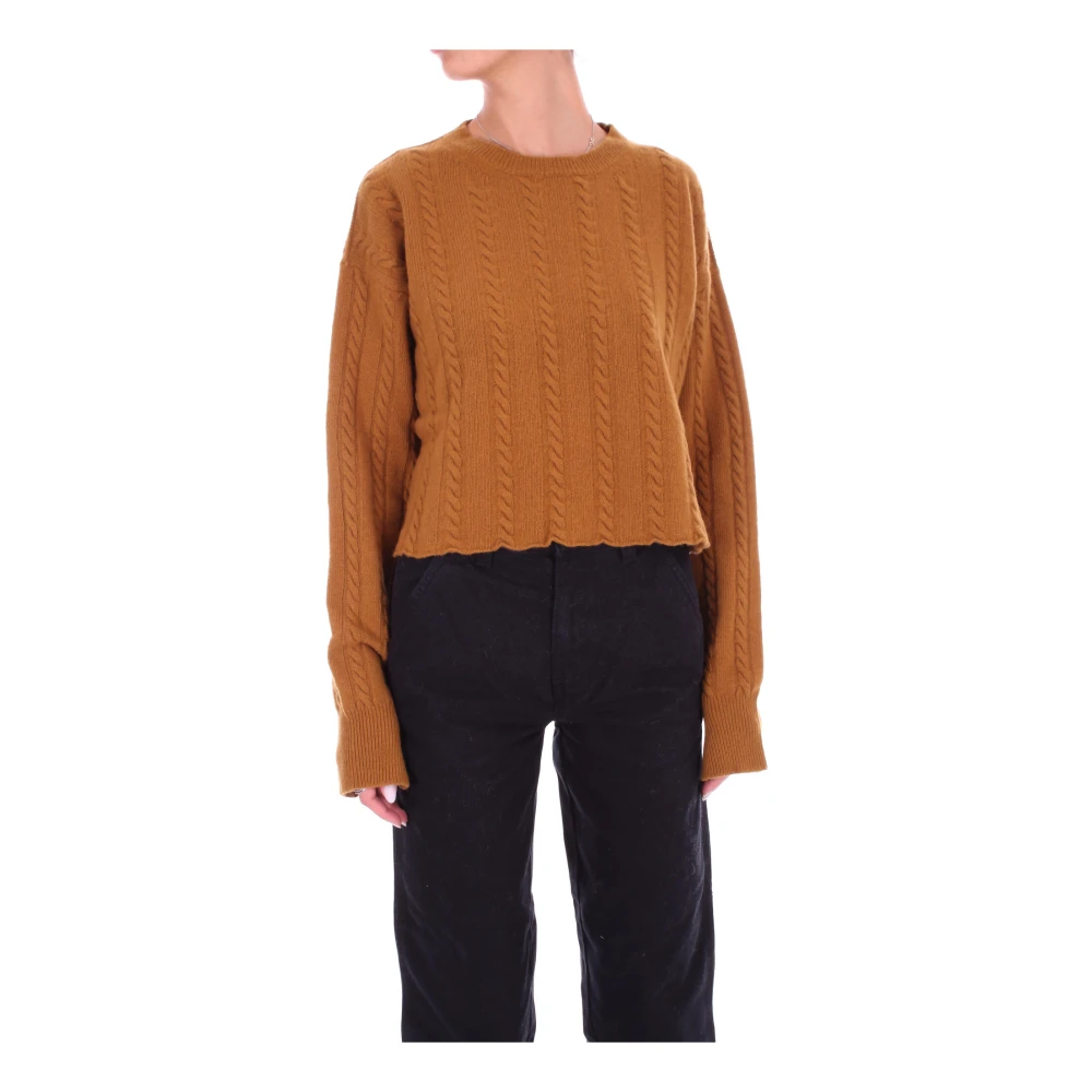 Semicouture Bruine Geborduurde Trui Brown Dames
