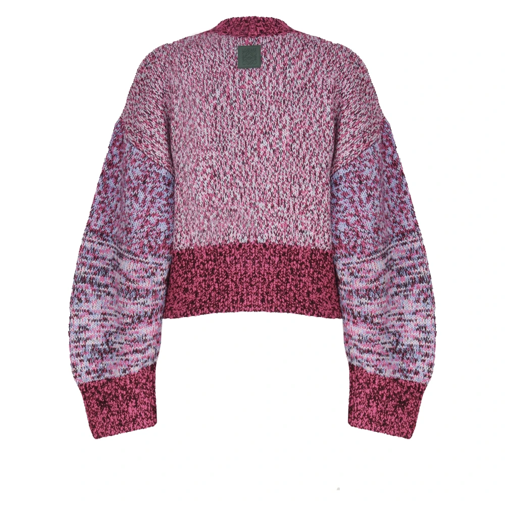 Loewe Runway Multicolor Crewneck Sweater Paars Wol Purple Dames