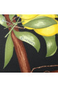 pre-owned-soie-foulards