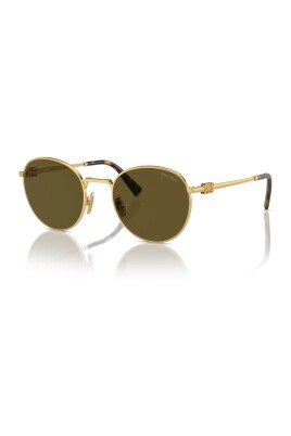 gold-dark-brown-sunglasses