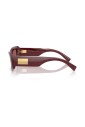 dg4479-3442d0-sunglasses