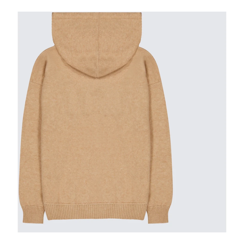 Laneus Kasjmier Zijde Hoodie Boxy Fit Brown Dames