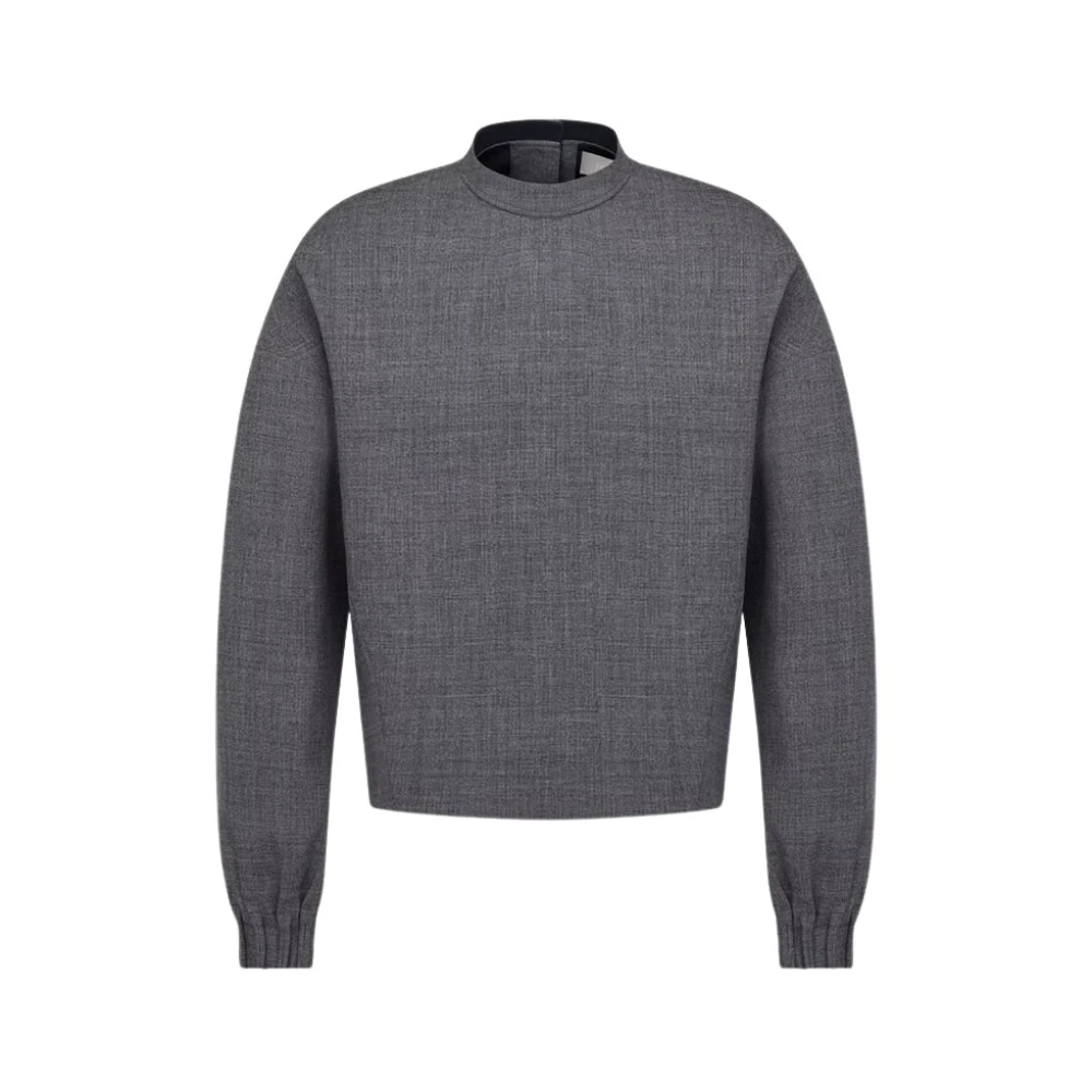 Dior Sweatshirt Gray Heren