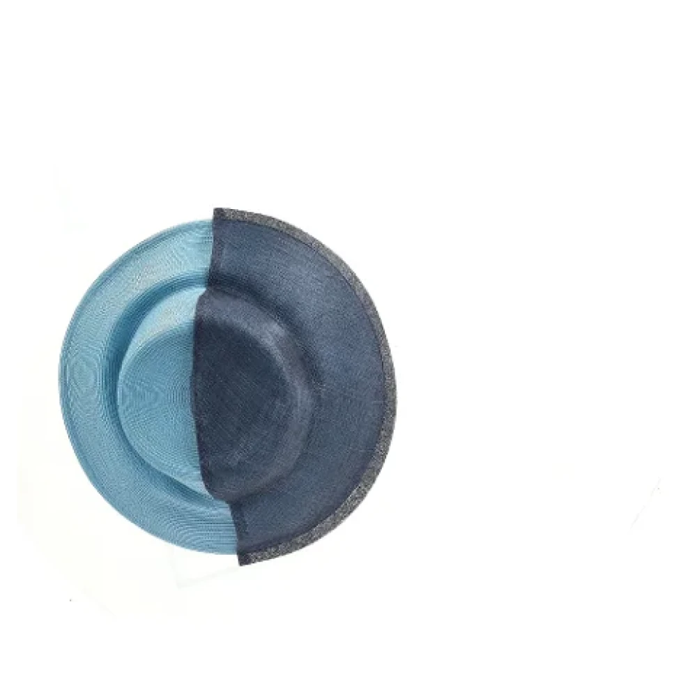 Dior Vintage Pre-owned Raffia hats Blue Dames