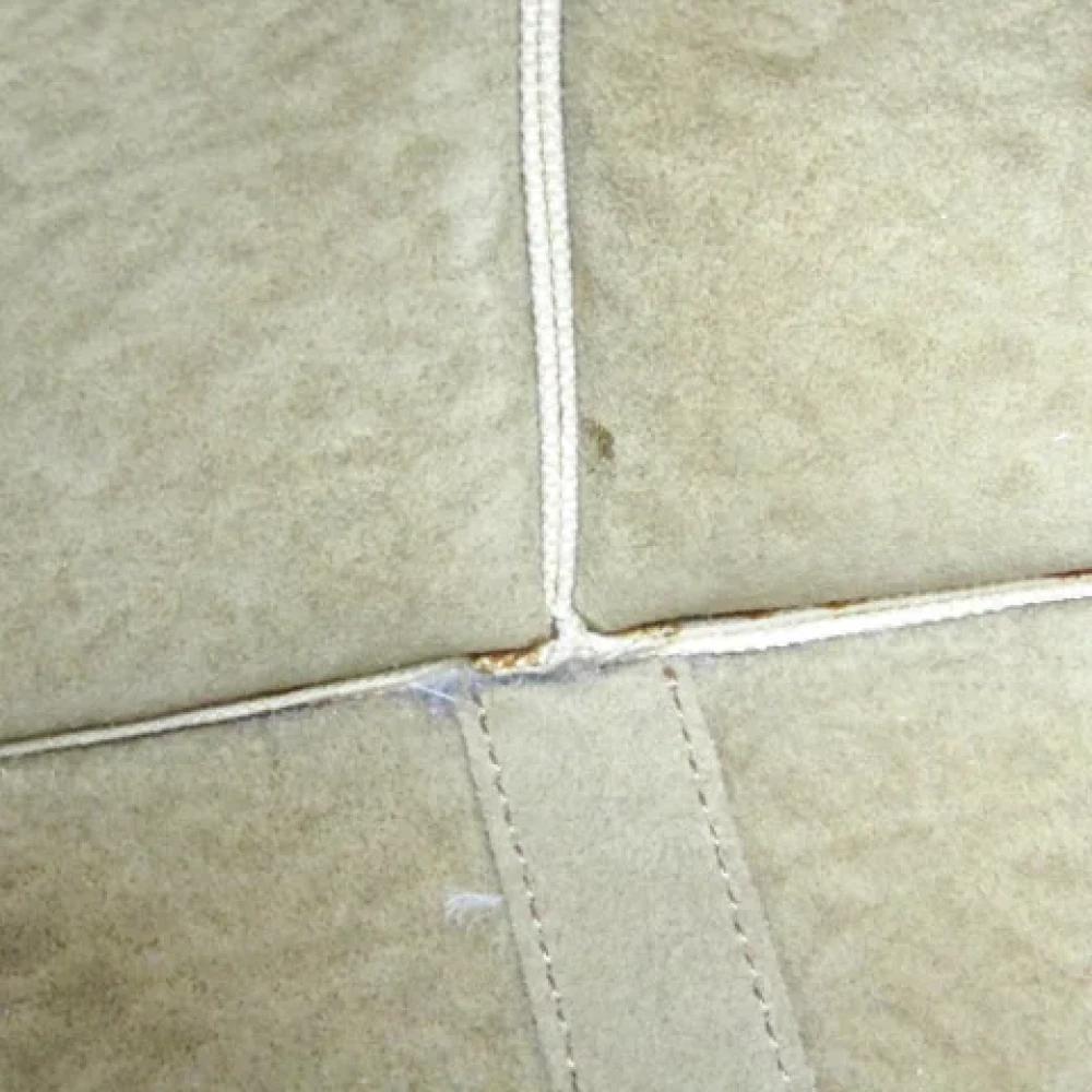 Loewe Pre-owned Canvas totes Beige Dames