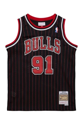 Chicago Bulls Dennis Rodman Tröja