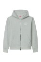 sweat-a-capuche-gris