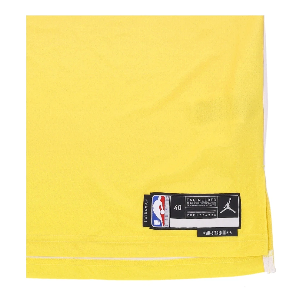 Nike All Star Basketbal Tanktop Multicolor Heren