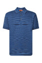 blue-stripe-polo-shirt