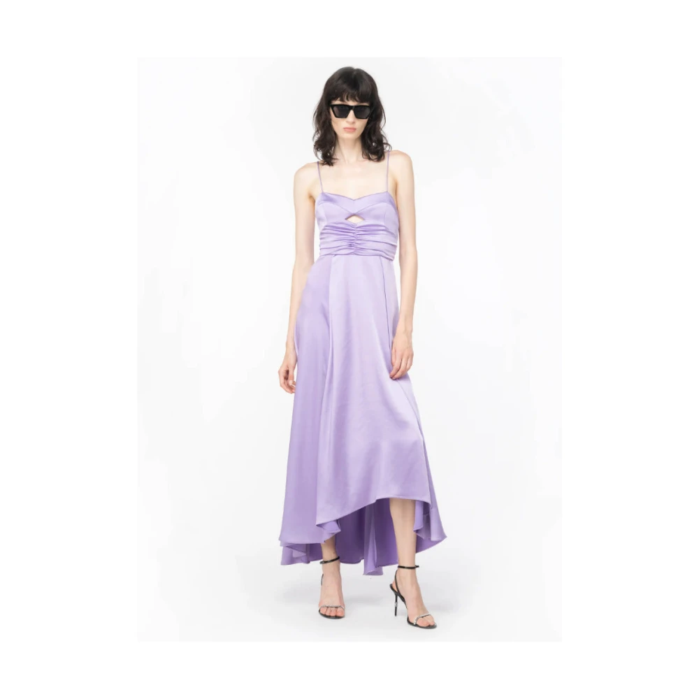 pinko Kleding Jurken Purple Dames