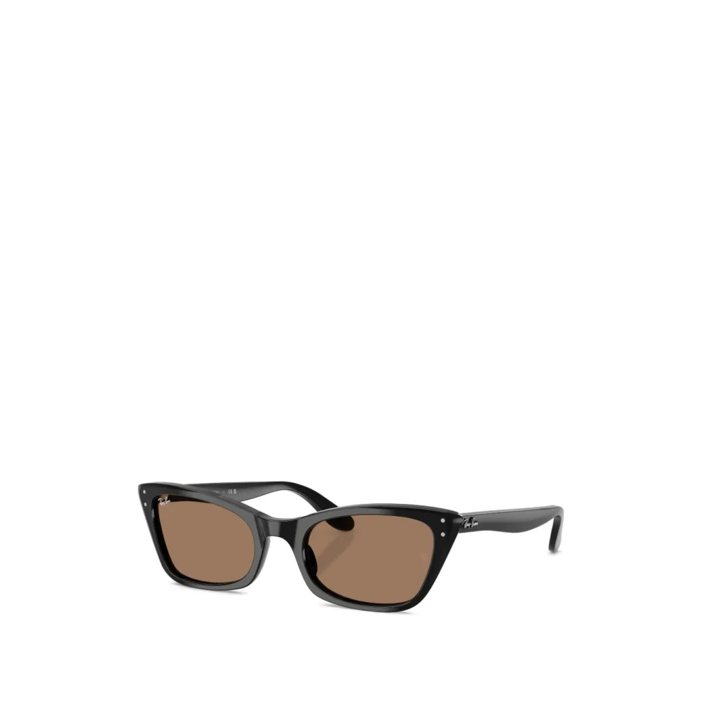 Ray-Ban Women's Black Lady Burbank Sunglasses