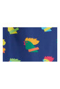 shorts-de-bain-bleus-pour-hommes-avec-motif-coq-multicolore