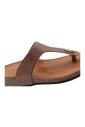 chaussons-ours-polaire