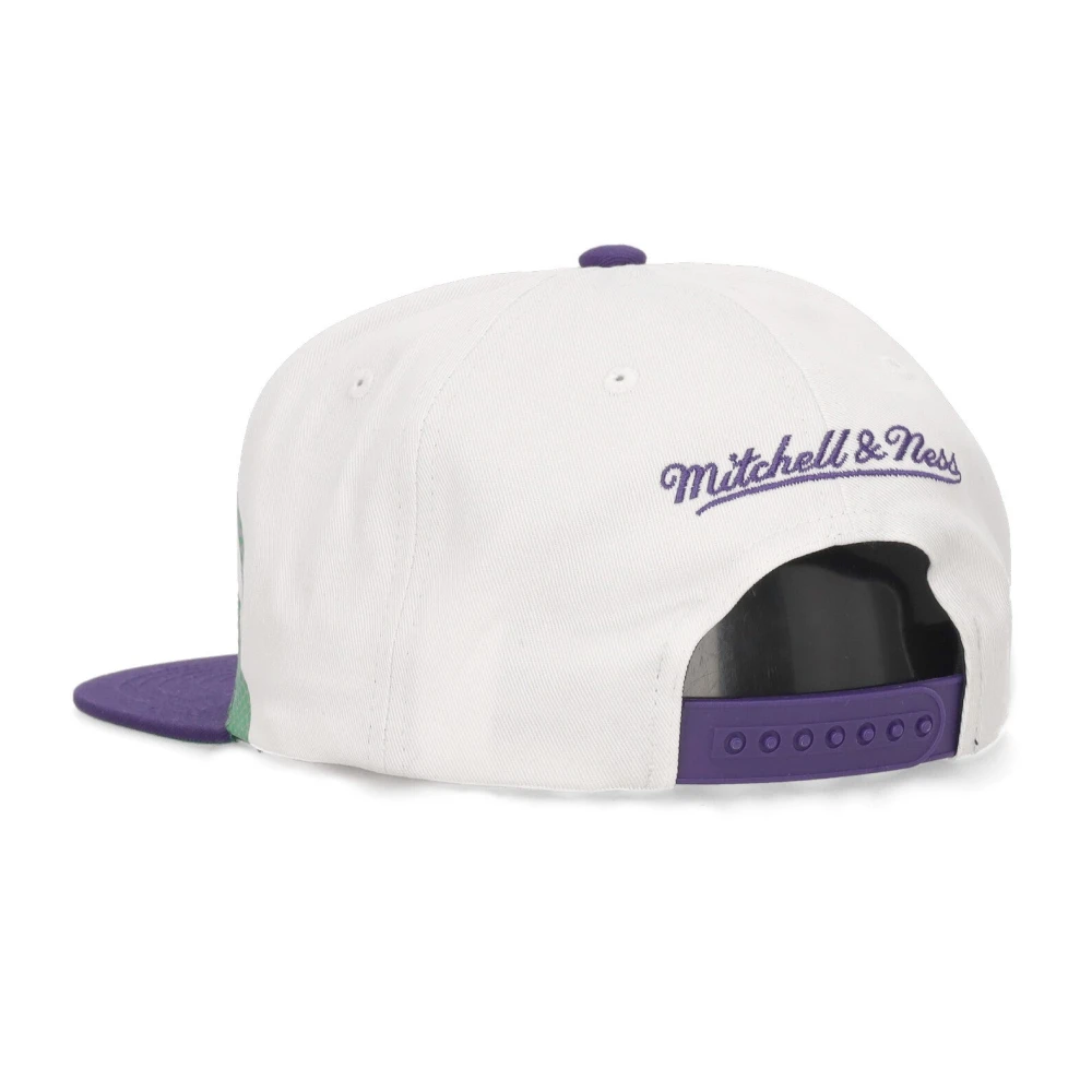 Mitchell & Ness Milwaukee Bucks Platte Klep Pet Multicolor Heren