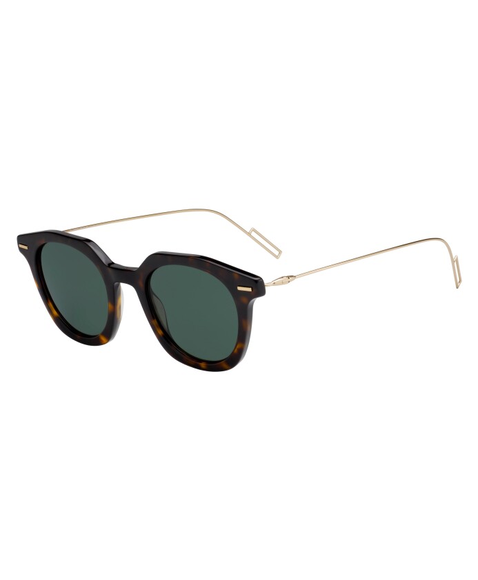 master-sunglasses-dark-havana-gold-green