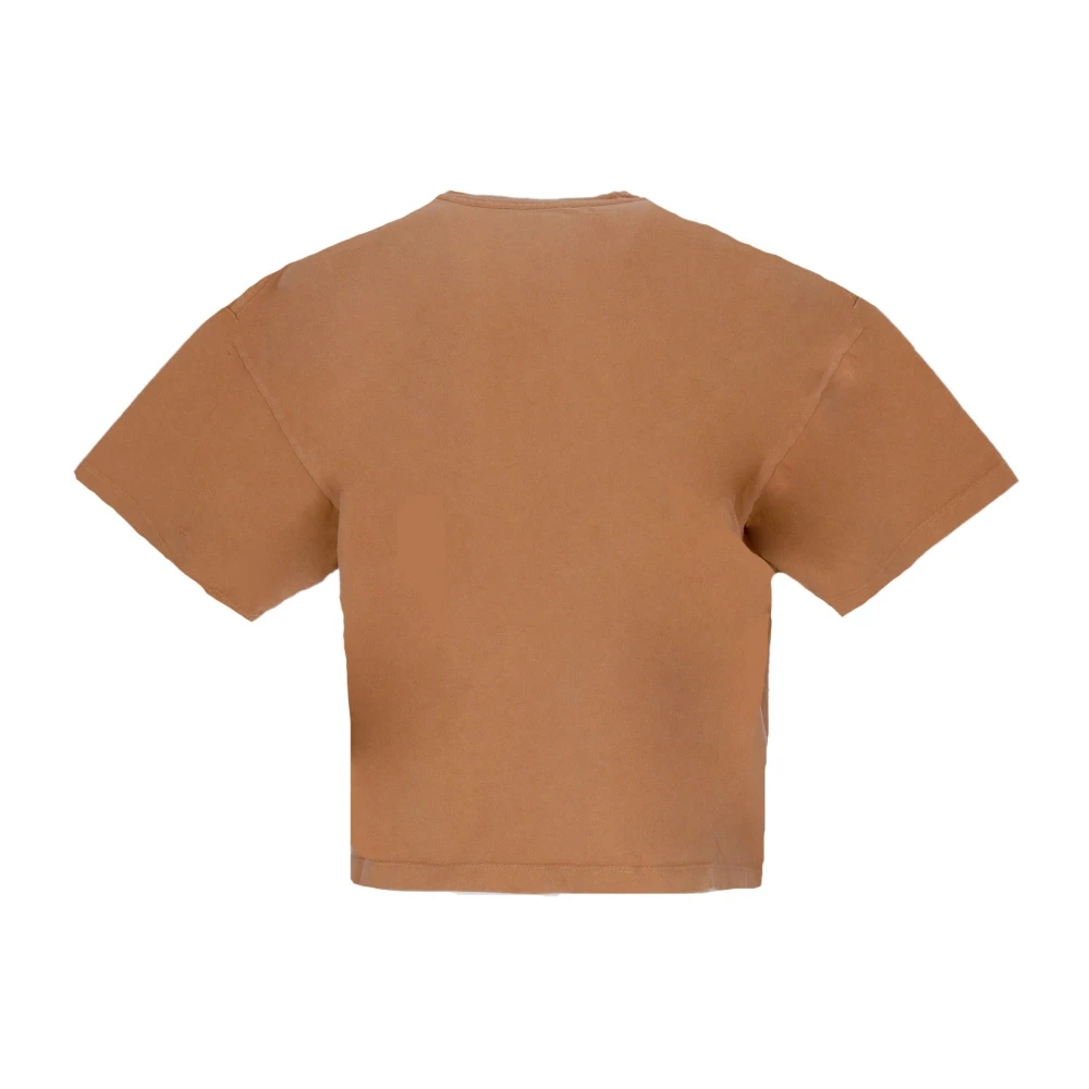 Obey Bruine Suiker Custom Crop Tee Brown Dames