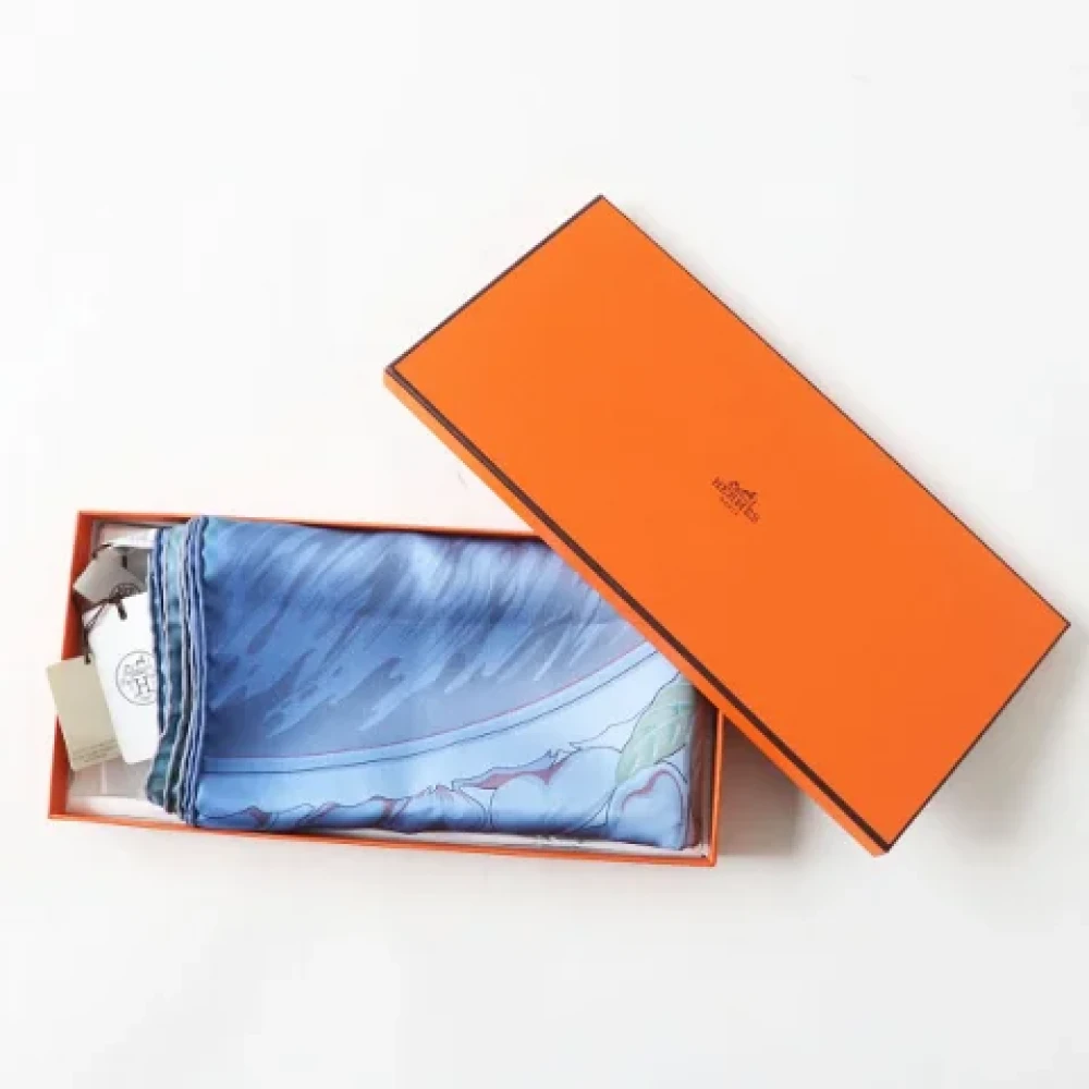 Hermès Vintage Pre-owned Silk scarves Blue Dames