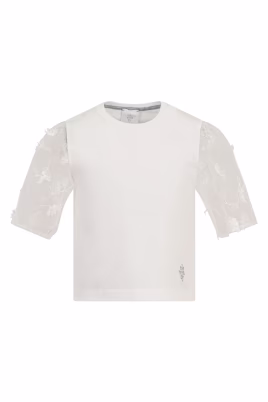 cotton-top