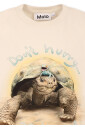 skoldpadda-tryck-elfenben-bomull-t-shirt