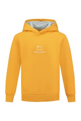 training-shirt