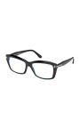 ft6065b-001-optical-frame
