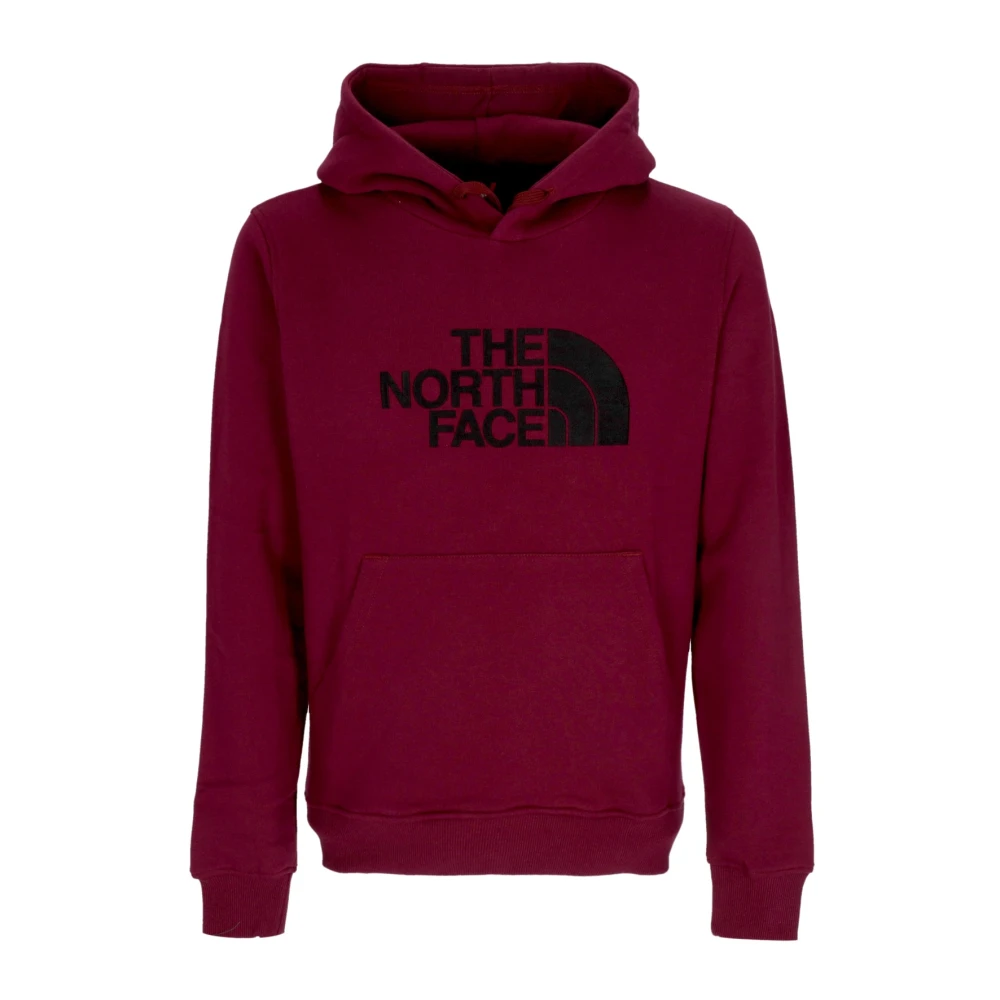 The North Face Streetwear Drew Peak Hoodie Brown Heren