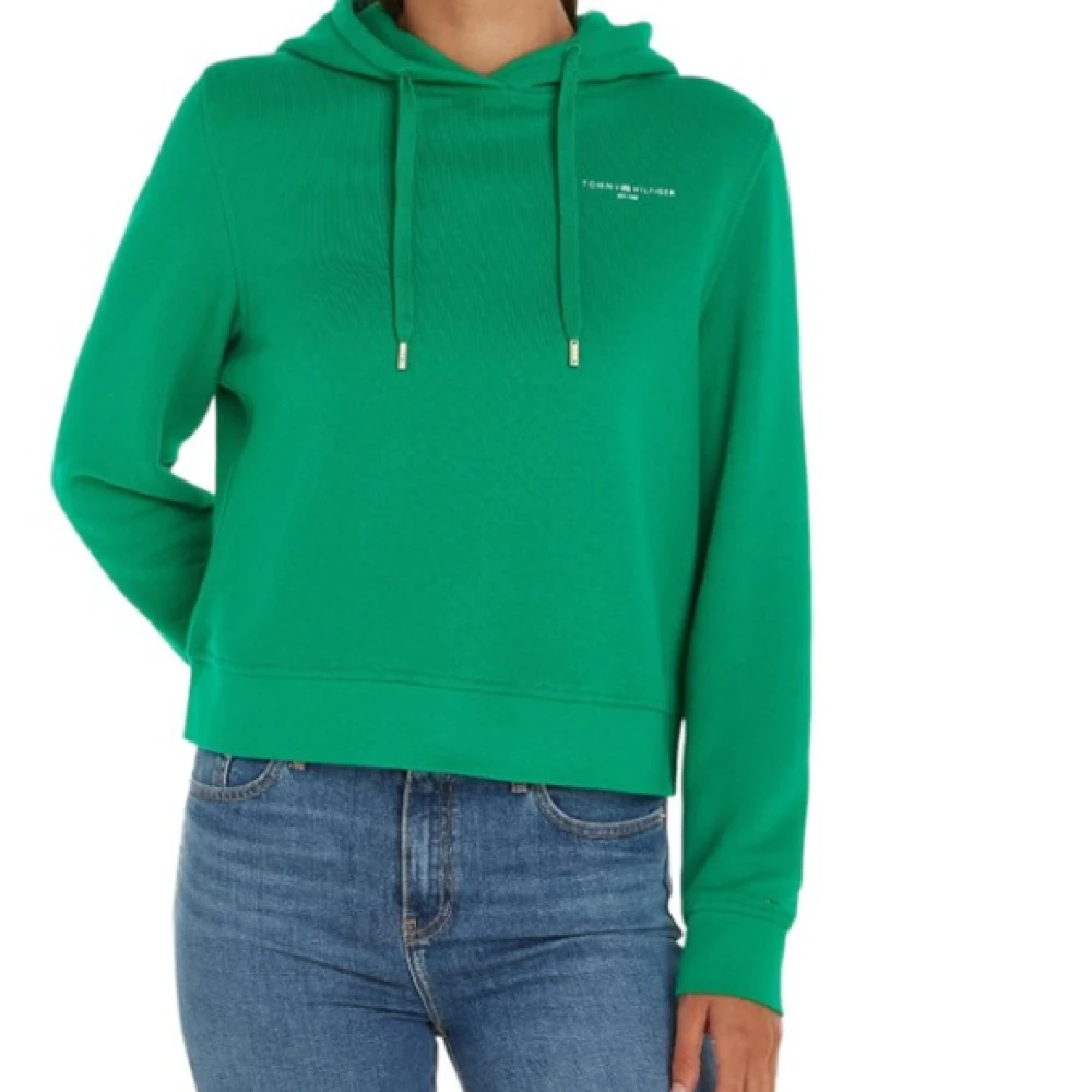 Sweatshirts & Hoodies > Hoodies - - Tommy Hilfiger - Modalova