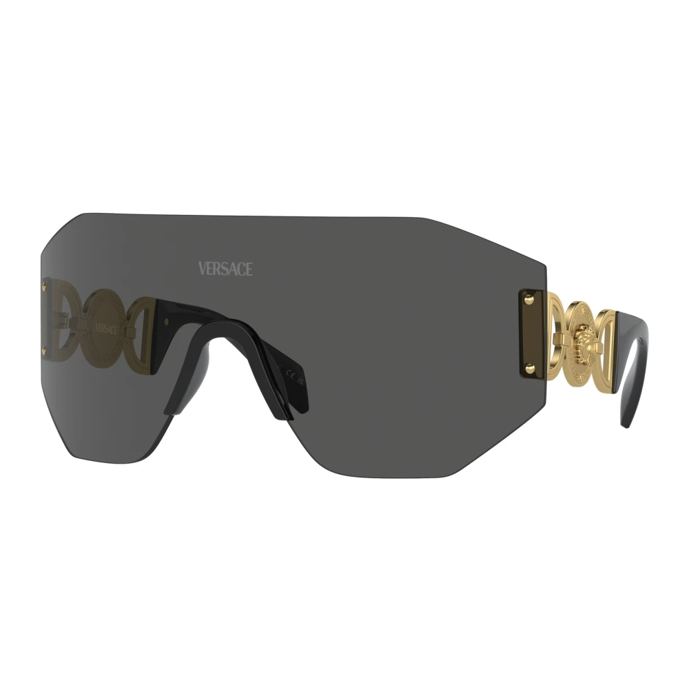 Versace Unisex Gray Sunglasses,, Luxury Sunglasses Collection Medium