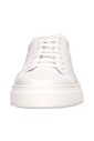 blanc