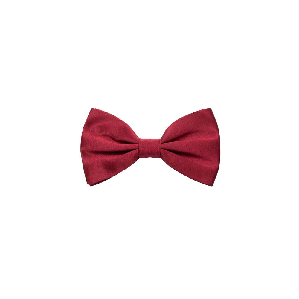 Dolce & Gabbana , Bow Ties, Male, Red, One Size, Silk Butterfly Bordeaux Hair Clip - Image 3