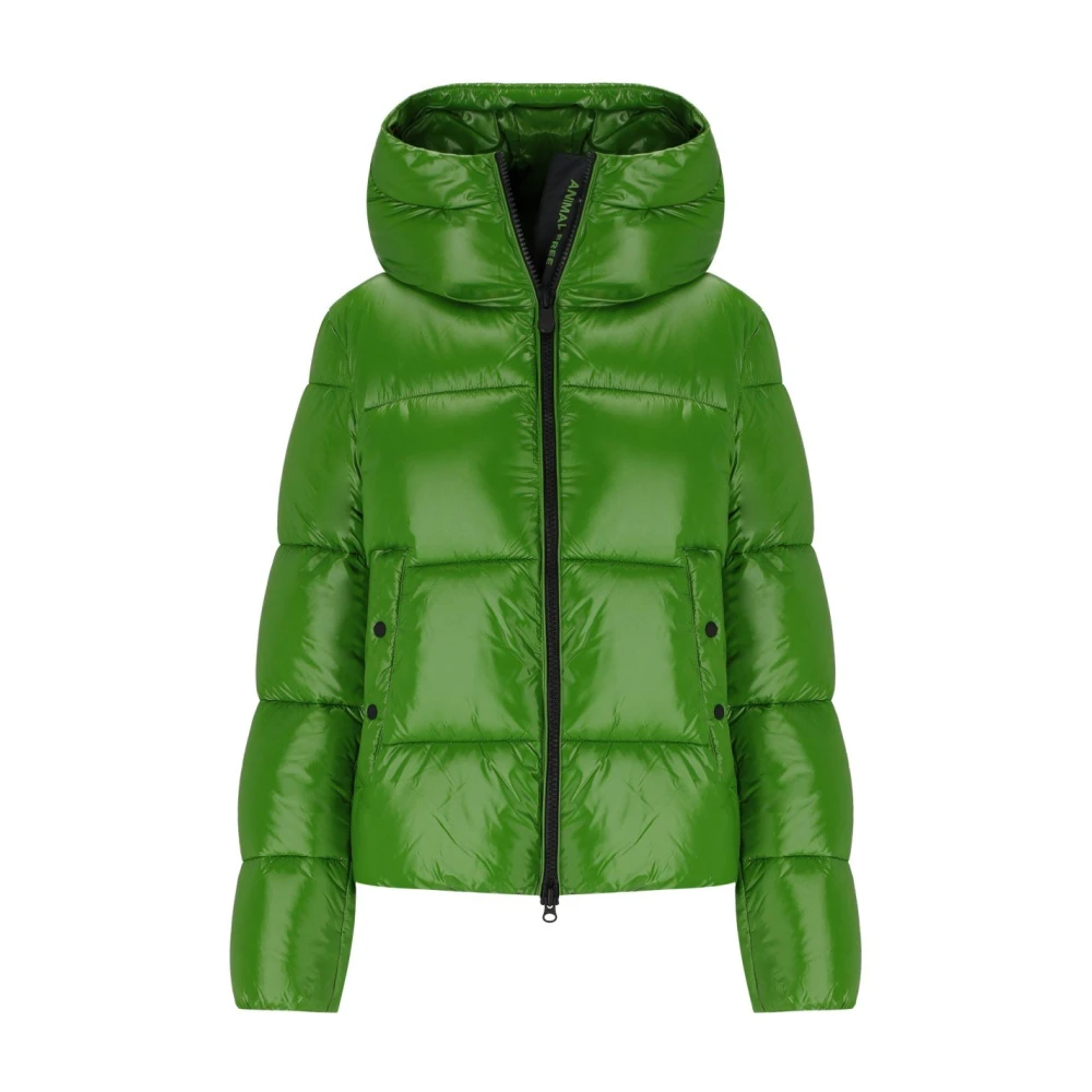 Jackets > Winter Jackets - - Save The Duck - Modalova
