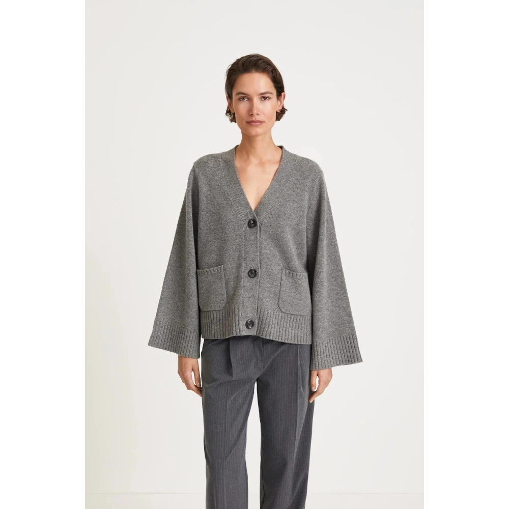 Stylein Grijze Merino Cardigan met V-Hals Gray Dames