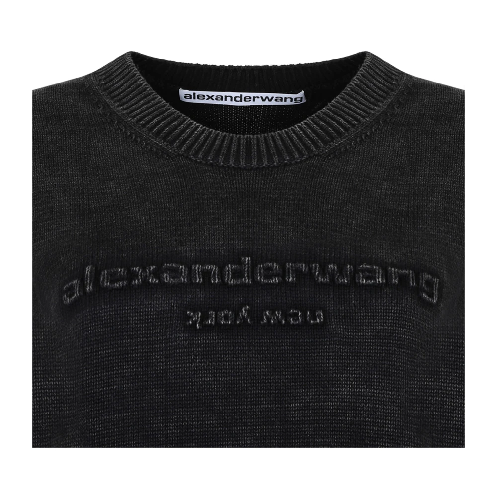 alexander wang Zwarte Logo Ingelegde Trui Sweaters Gray Dames