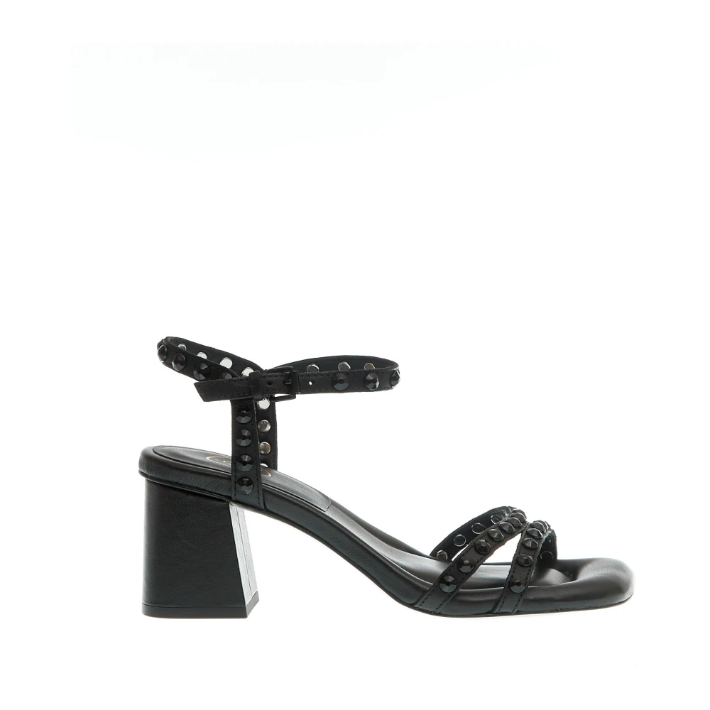 Shoes > Sandals > High Heel Sandals - - ASH - Modalova
