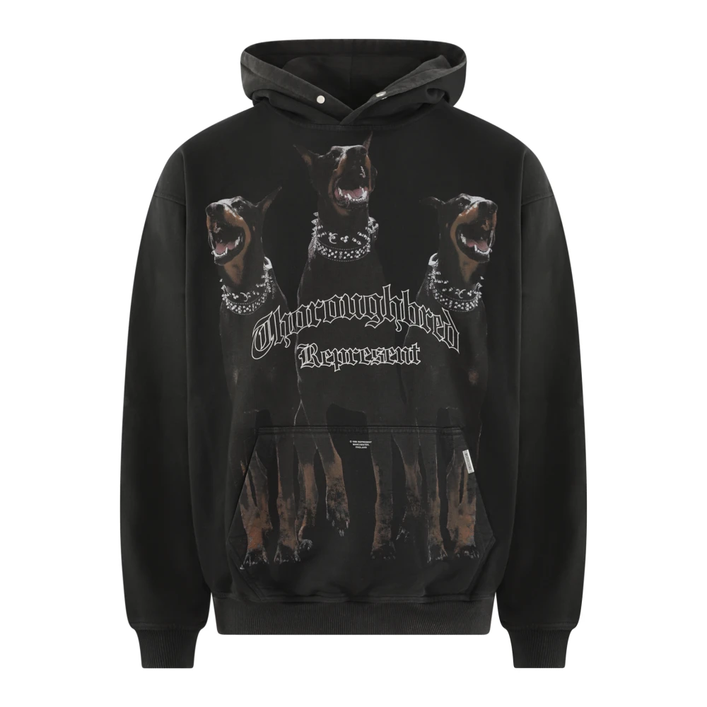 Sweatshirts & Hoodies > Hoodies - - Represent - Modalova