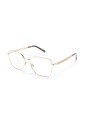 dg1351-02-optical-frame