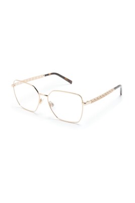 dg1351-02-optical-frame
