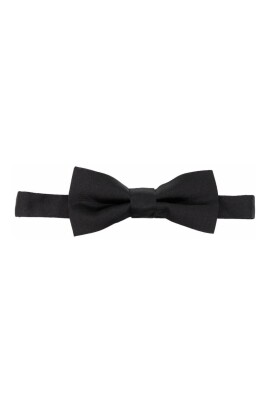 papillon-en-soie-noire