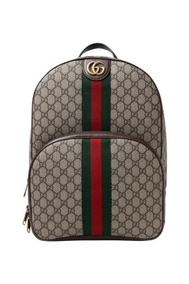 luxury-backpack-with-web-detail