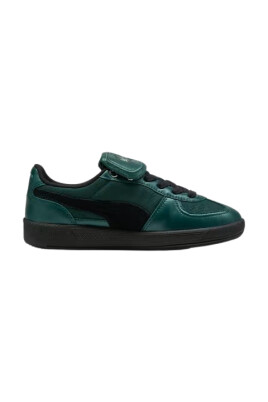 slytherin-dark-myrtle-and-black