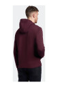 pull-a-capuche-bordeaux-style-classique