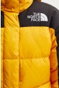 manteau-en-duvet-a-capuche
