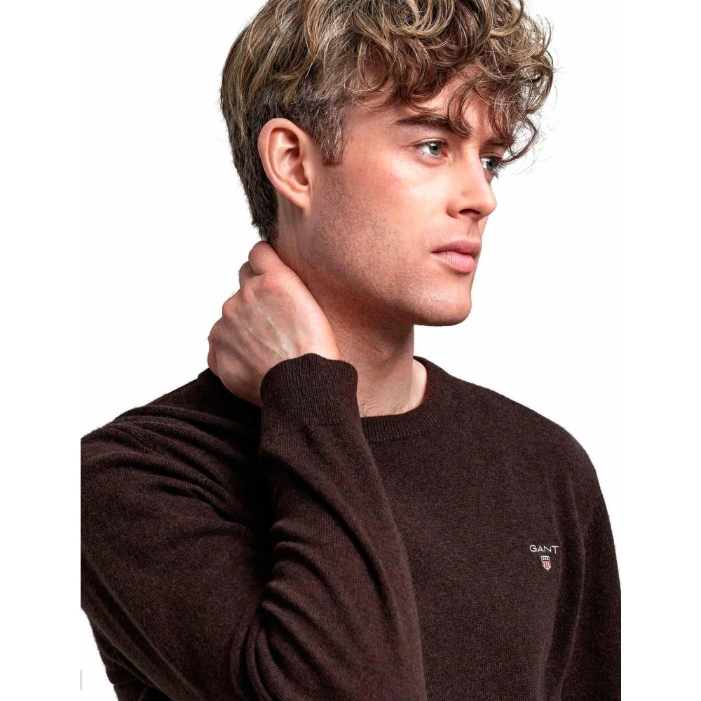 Gant Sweatshirt Brown Heren