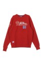 script-crewneck-sweatshirt-in-teamkleuren